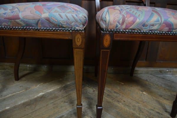 Pair Of Edwardian Mahogany Chairs SAI3070 Antique Chairs 13