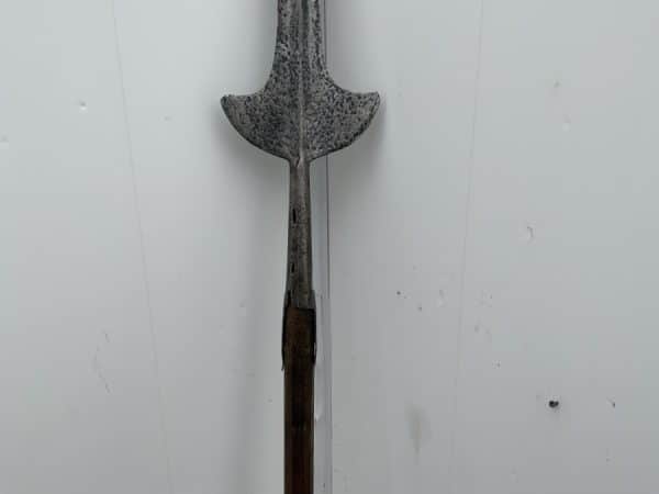 Pole Arm “ Partisan “ 14th Century Medieval Antiques 5