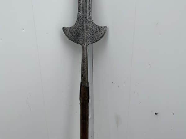 Pole Arm “ Partisan “ 14th Century - Image 3