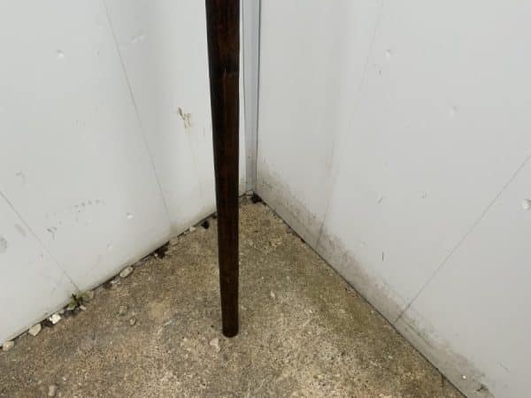 Pole Arm “ Partisan “ 14th Century - Image 6