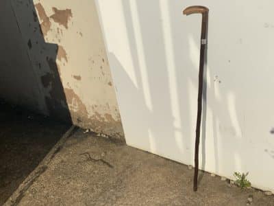 Country Gentleman’s walking stick sword stick Miscellaneous 4