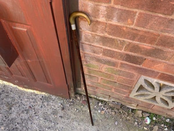 Elegant Gentleman’s walking stick sword stick - Image 7
