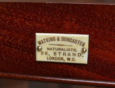 Watkins & Doncaster Mahogany Collector's Cabinet SAI3083 - Image 10