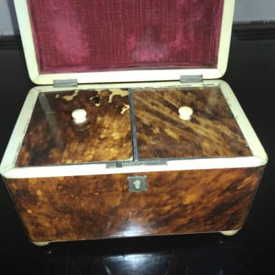 Tortoise shell Tea Caddy Regency Antique Boxes 12