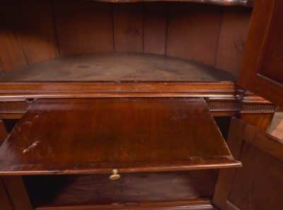 Georgian Mahogany Corner Cabinet SAI2010 - Image 7