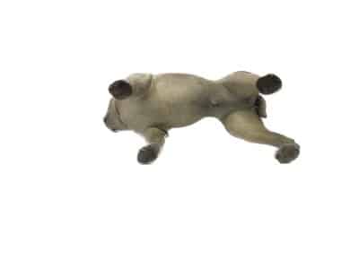 Fine Antique 19th Century Cold Painted 37cm Standing Pug cold painted Antique Ceramics 6