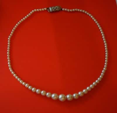 Vintage 17″ Pearl Graduated Pearl Necklace & Oyster Shell Box Boxed Pearl Necklaces Antique Jewellery 4