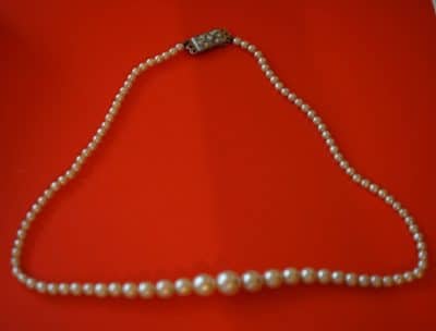 Vintage 17″ Pearl Graduated Pearl Necklace & Oyster Shell Box Boxed Pearl Necklaces Antique Jewellery 8