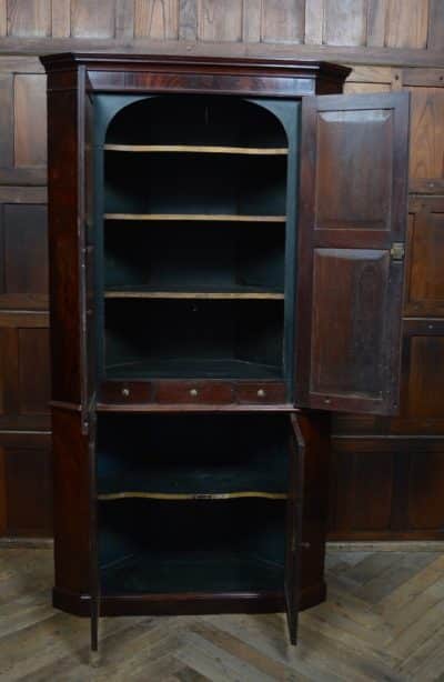 Georgian Mahogany Country House Corner Cabinet SAI3125 - Image 5