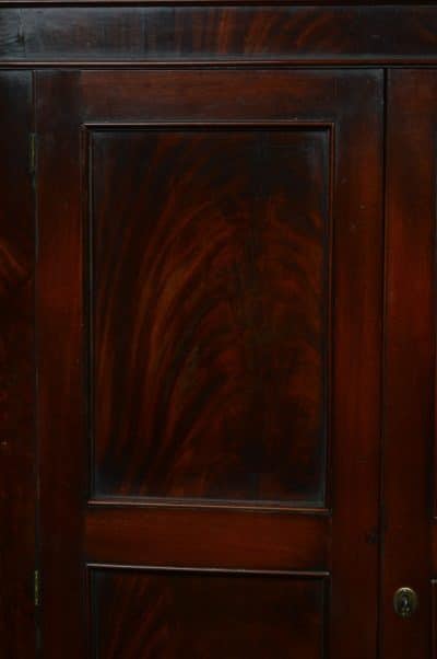 Georgian Mahogany Country House Corner Cabinet SAI3125 - Image 14
