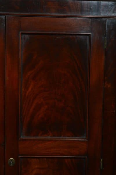 Georgian Mahogany Country House Corner Cabinet SAI3125 Antique Cabinets 15