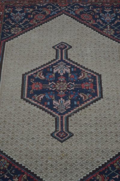 Sarab Rug SAI3237 - Image 6