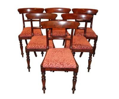 Set of 6 William IV Dining Chairs Antique Chairs 3