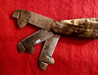 Georgian Three Bladed Fleam with single blade knife within scales - Image 3