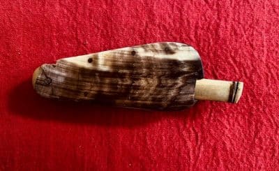 Georgian Three Bladed Fleam with single blade knife within scales - Image 4