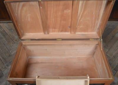 Chinese Camphor Wood Storage / Blanket Box SAI3277 Antique Boxes 9