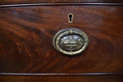 Whytock & Reid Mahogany Chest Of Drawers SAI2871 - Image 3