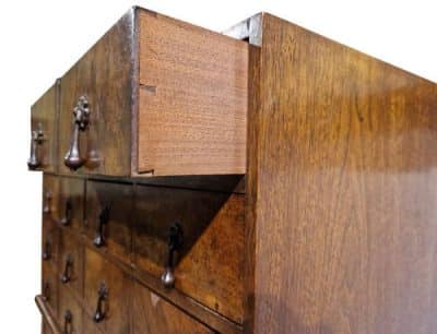 19thc Walnut Collectors Cabinet - Image 2