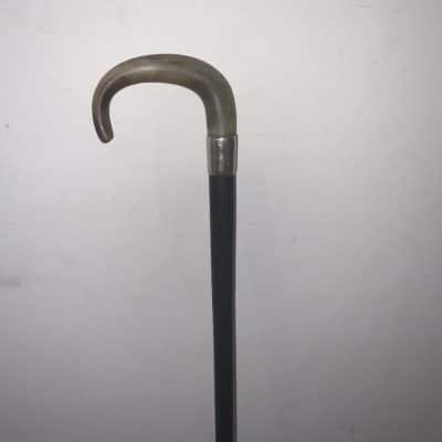 Rhino horn Handle walking stick sword stick - Image 3