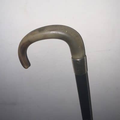 Rhino horn Handle walking stick sword stick - Image 7