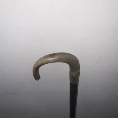 Rhino horn Handle walking stick sword stick - Image 8