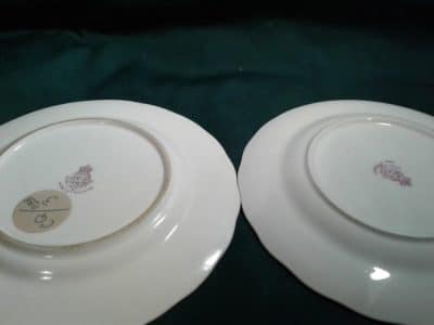 SOLD A pair of Worcester fallen fruits cabinet plates. Harry Ayrton Antique Worcester Antique Art 9