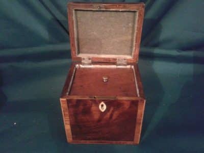 Georgian mahogany tea caddy - Image 2