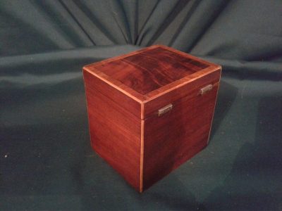 Georgian mahogany tea caddy - Image 3