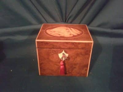 Georgian burr walnut inlaid tea caddy