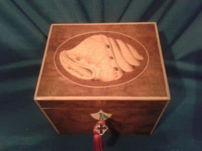 Georgian burr walnut inlaid tea caddy - Image 5