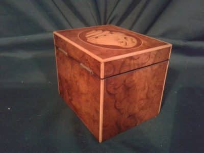 Georgian burr walnut inlaid tea caddy - Image 4