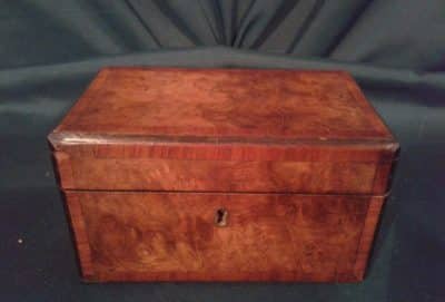 Georgian burr walnut tea caddy
