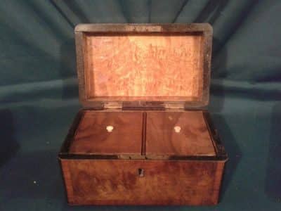 Georgian burr walnut tea caddy - Image 2