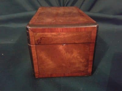 Georgian burr walnut tea caddy - Image 3