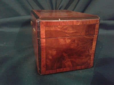 Georgian burr walnut tea caddy - Image 5