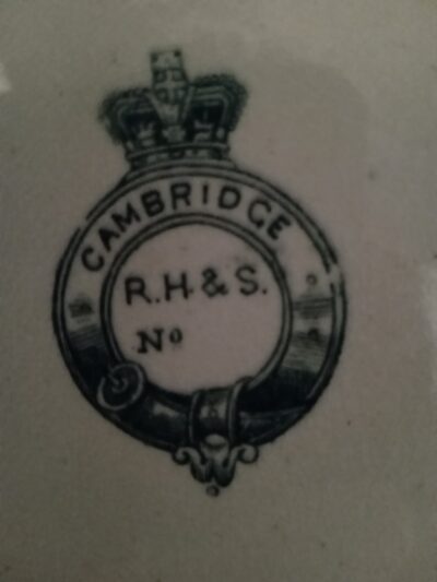 A LARGE MEAT (TURKEY) PLATE. VICTORIAN, STAFFORSHIRE (R.H.& S) - Image 3