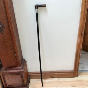 Exceptional walking stick/sword stick Miscellaneous