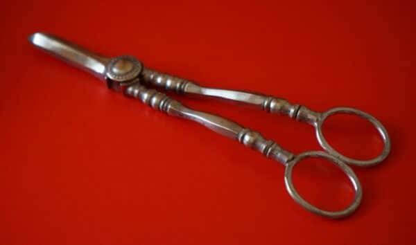 SALE - An Ornate Pair of Victorian E.P.N.S. Grape Scissors - Collectable / Gift