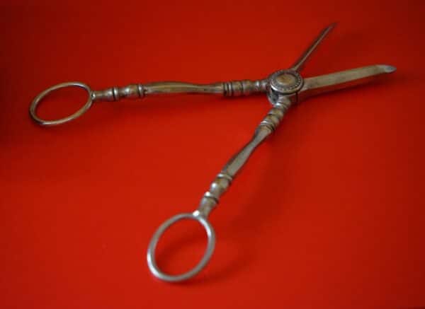 SALE - An Ornate Pair of Victorian E.P.N.S. Grape Scissors - Collectable / Gift - Image 3