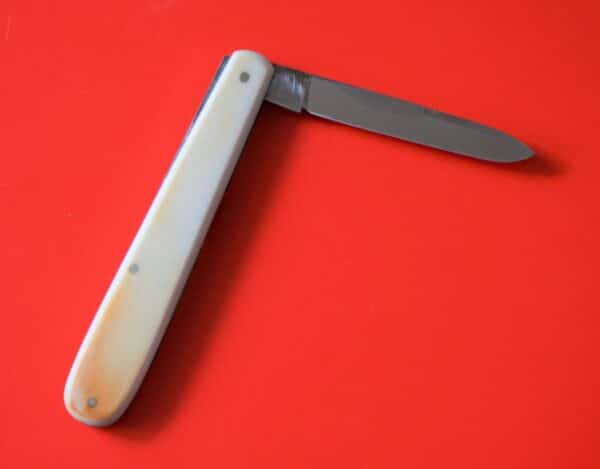 SALE - An Antique Bone Handle Corn Knife - Ideal Gift / Present / Collectable Knives - Image 3