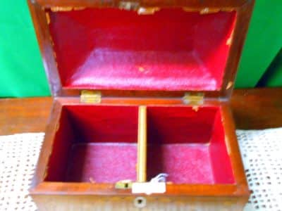 George III inlaid mahogany caddy - Image 5