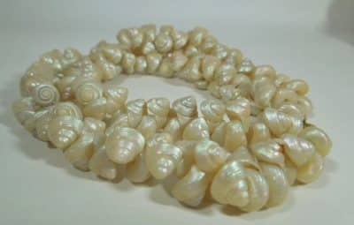 Shell Necklace shell necklace Antique Jewellery 4