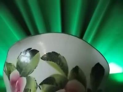Pair Scottish Wemyss Lady Eva Vases - Image 5