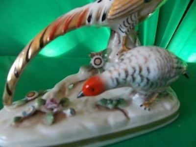Pr of Samson Golden pheasants. - Image 2