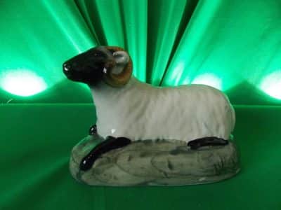 Rare Victorian Staffordshire Black faced Ram. - Image 2
