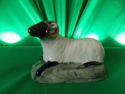 Rare Victorian Staffordshire Black faced Ram. Antiques Scotland Antique Ceramics 4