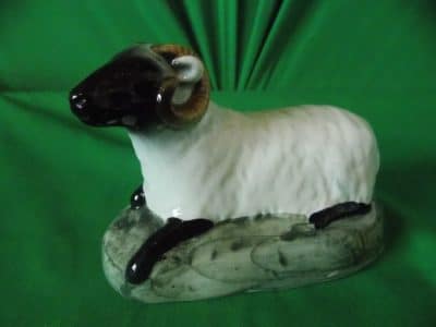 Rare Victorian Staffordshire Black faced Ram. - Image 3