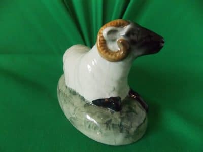 Rare Victorian Staffordshire Black faced Ram. - Image 4