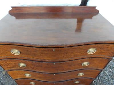 Georgian serpentine plum pudding mahogany chest of drawers - Image 2