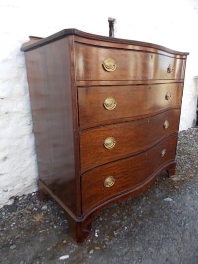 Georgian serpentine plum pudding mahogany chest of drawers - Image 4
